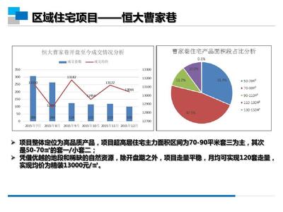 2016年1月成都市中心紅星路地塊市場(chǎng)調(diào)研報(bào)告（定稿）